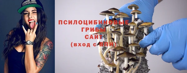 крисы Волоколамск