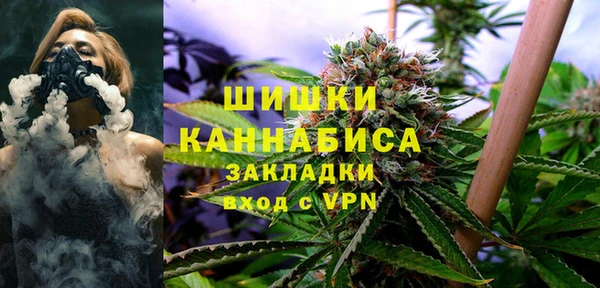дживик Володарск