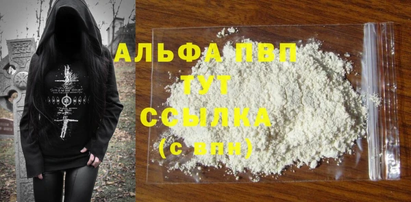 PSILOCYBIN Вязьма