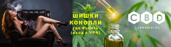 дживик Володарск