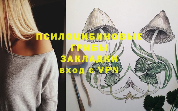 дживик Володарск