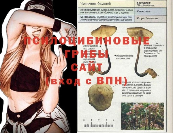 крисы Волоколамск