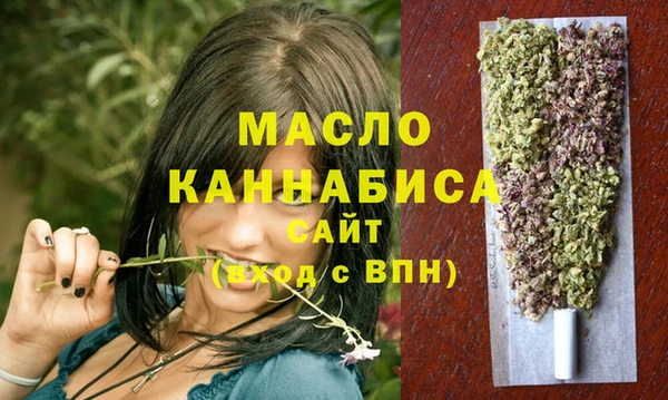 дживик Володарск