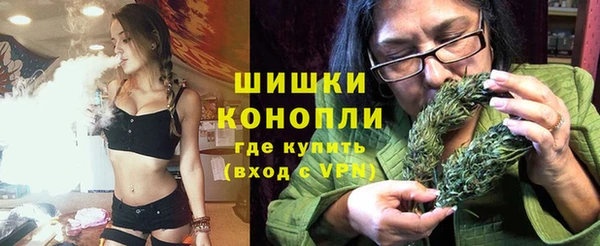 дживик Володарск