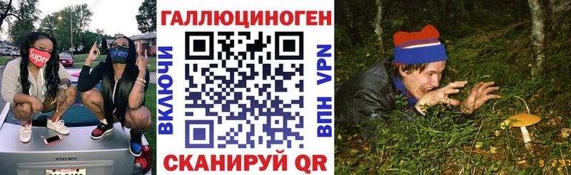 Псилоцибиновые грибы Cubensis  Пласт 