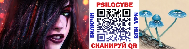 Псилоцибиновые грибы Psilocybine cubensis Пласт