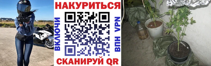 Конопля Bruce Banner  купить наркоту  Пласт 